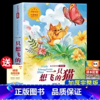 一只想飞的猫 [正版]老师一只想飞的猫二年级必读课外书注音版快乐读书吧上册小学生课外阅读书籍2年级上学期经典书目陈伯吹著
