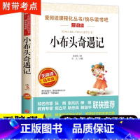 小布头奇遇记 [正版]小布头奇遇记孙幼军 三年级必读的课外书四年级课外阅读书籍老师经典书目儿童读物小学生2二年级非注音小