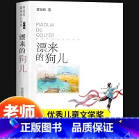 飘来的狗儿 [正版]飘来的狗儿黄蓓佳倾情小说系列老师三四五六年级必读课外阅读书籍6-7-9-12岁儿童经典文学读物童书畅