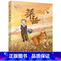 莱西回家 [正版]莱西回家百年经典动物小说经典童话世界儿童文学名著小学生版三年级四年级五年级六年级必读课外阅读书籍彩图老