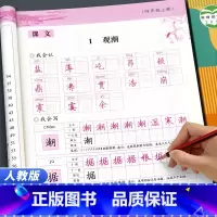 [4册]同步练字帖+学霸笔记(语数英) 四年级上 [正版]2024四年级写字课课练上册同步字帖写字课课练 田英章楷书字帖