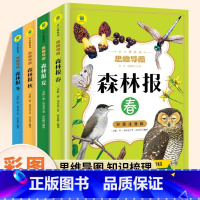 [彩图注音]春夏秋冬全套4册 [正版]森林报春夏秋冬全四册注音版 原著完整版 小学生一年级二年级三年级课外阅读书籍必读儿