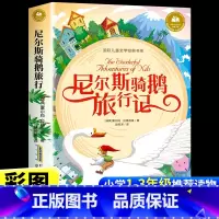 尼尔斯骑鹅旅行记 [正版]尼尔斯骑鹅旅行记注音版 老师小学生一年级二年级三年级阅读课外书必读的原著书籍童话故事书国际儿童