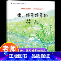哇,好多好多的花儿 [正版]哇,好多好多的花儿 幼儿园绘本书阅读3-6岁儿童科普读物科学启蒙睡前故事书老师三到四五岁宝宝