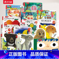 [19册]触摸+洞洞+立体+感官发育 [正版] 触摸书加厚版宝宝0-3岁亮丽精美4册小兔比利小熊波比幼儿早教儿童手指推拉