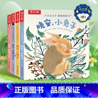 触摸纸板书⭐晚安,小 [正版] 亲亲宝贝触摸纸板书 婴儿0-3岁晚安 小鸭子幼儿早教书籍启蒙小兔推拉洞洞睡前晚安读物