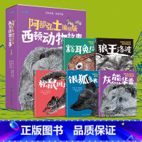 阿部弘士编绘版西顿动物故事(共5册)可点读 [正版] 阿部弘士编绘版西顿动物故事(共5册)点读版 儿童文学4-6-12岁