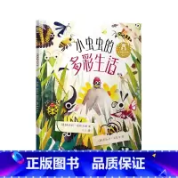 《小虫虫的多彩生活》 [正版]小虫虫的多彩生活 2-3-6岁宝宝睡前故事昆虫小百科启蒙认知绘本写实画风图画书 学前儿童益