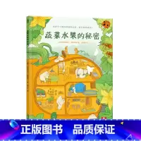 蔬菜水果的秘密 [正版] 蔬菜水果的秘密 解决孩子不爱吃蔬菜的问题 揭秘蔬菜水果的秘密 趣味科普绘本 2-3-4-5岁