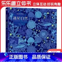 遇见自然 [正版]遇见自然视觉发现绘本 精装绘本发现诗意自然游戏探索自然 提升幼儿专注力想象力亲子互动绘本图画创造力书籍
