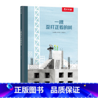 一棵歪打正着的树 [正版]精装绘本 一棵歪打正着的树3-4-5-6岁 精装硬皮绘本幼儿园儿童书 硬壳低幼宝宝认知早教益智