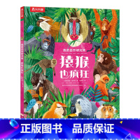 我的自然研究所-猿猴也疯狂 [正版]我的自然研究所全套3册儿童0-1-2-3--4-5-6岁3d绘本趣味科普百科全书幼儿