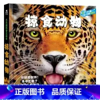 掠食动物立体书 [正版] 立体书儿童3D掠食动物趣味科普3-4-6-8-10-12岁以上科普百科全书翻翻书学前幼儿园小学