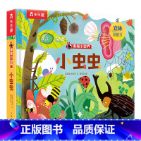 揭秘小世界第四辑-小虫虫 [正版] 3d立体书揭秘儿童翻翻书系列小虫虫3-6-8-10岁以上少年生物世界科普百科全书籍小
