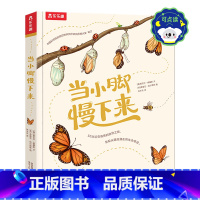当小脚慢下来-点读版 [正版] 当小脚慢下来点读版绘本儿童读物3-6岁以上大自然百科读物科普绘本硬壳精装儿童注意力培养睡
