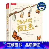 当小脚慢下来-点读版 [正版] 当小脚慢下来点读版绘本儿童读物3-6岁以上大自然百科读物科普绘本硬壳精装儿童注意力培养睡