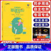[正版]2025版一飞冲天综合版中考语文基础知识强化训练 初中语文基础知识强化训练积累与运用综合训练一飞冲天初中语文