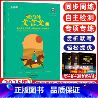 [正版]2025版一飞冲天课内外文言文七年级初中课内外文言文七年级 感受国学魅力分类探究精解读 一飞冲天课七年级内