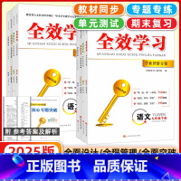 数学 九年级上 [正版]2025版全效学习学业评价方案七年级八年级九年级上册下册物理7年级下8年级下九9年级下数学化学语