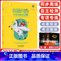[正版]2025版一飞冲天名著导读与考点精练九年级 《艾青诗选》《水浒》《儒林外史》《简爱》一飞冲天 九年级名著导读九
