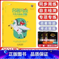 [正版]2025版一飞冲天名著导读与考点精练九年级 《艾青诗选》《水浒》《儒林外史》《简爱》一飞冲天 九年级名著导读九