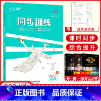 化学 九年级/初中三年级 [正版]2025版一飞冲天同步训练化学九年级全一册上RJ人教版课时作业+单元期中期末同步课时课