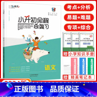 [正版]2024版 一飞冲天小升初全程总复习语文 夯实基础 专项练习模拟 预测卷 练习题讲解天津各地小升初真题荟萃含