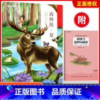 [正版]大语文分级阅读 森林报.夏 第三辑第一学段 1 2年级 适合孩子成长的中文分级阅读