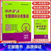 语文 天津 [正版]2024版天津中考水木金卷专题模块分类集训中考语文初中九年级水木教育天津专题分类强化基础查缺补漏练习