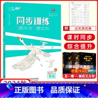 英语[外研] 九年级上 [正版]2025版 一飞冲天同步训练九年级英语全一册WY外研版 课时作业+单元期中期末同步课时课