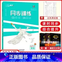 英语[外研] 九年级上 [正版]2025版 一飞冲天同步训练九年级英语全一册WY外研版 课时作业+单元期中期末同步课时课