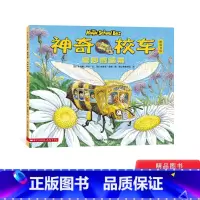 奇妙的蜂巢(平装) [正版]奇妙的蜂巢平装神奇校车第一辑单本绘本图画书科普百科适合5岁6岁7岁8岁蒲公英童书神奇的校车第