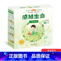 感触生命主题绘本(套装共12册) [正版]感触生命主题绘本(套装共12册)平装图画书传递给孩子温暖完美健康健全的生命教育