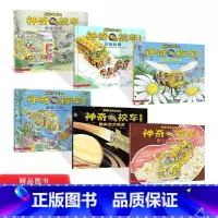 6册/套 [正版]神奇校车第一辑精选6册在人体中游览迷失在太阳系水的故事海底探险追寻恐龙奇妙的蜂巢小学生课外读物经典儿童