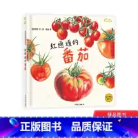 红通通的番茄 [正版]红通通的番茄绘本图画书我爱蔬菜3岁4岁5岁6岁亲子共读孩子的高颜值蔬菜科普书麦田精选图画书少年儿童