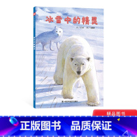 单本全册 [正版]冰雪中的精灵精装绘本图画书讲述北极动物的科学图画书通过唯美的画面展现了广阔的北极世界3岁以上中国中福会