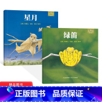 2册装 [正版]全2册精装星月绿笛绘本图画书适合4岁以上扫码听故事和英童书