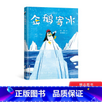 企鹅寄冰 冰波著 [正版]企鹅寄冰精装绘本一曲另类冰与火之歌随书附赠阅读推广人姜晓燕精心撰写的教学导读适合3岁4岁5岁6