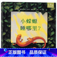 小蝾螈睡哪里? [正版]小蝾螈睡哪里硬壳精装绘本图画书和英童书