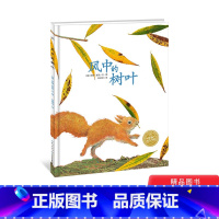风中的树叶(精装) [正版]风中的树叶硬壳精装图画书海豚绘本花园精选有效引导孩子们进入思考状态引发对生命意识的启蒙童书