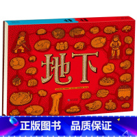 地下水下 [正版]地下水下手绘百科科普读物绘本适合5岁6岁7岁8岁9岁10岁儿童课外阅读书籍蒲公英童书