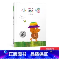 小彩帽 精装 [正版]小彩帽硬壳精装无字书暖房子华人原创绘本图画书挫折教育绘本在困难面前既要有不懈追求目标的勇气也要有适