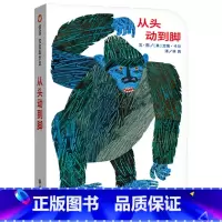 从头动到脚 硬壳精装 [正版]从头动到脚信谊宝宝起步走系列图画书纸板书游戏动作儿童启蒙早教认知艾瑞卡尔童书