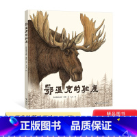 鄂温克的驼鹿 [正版]鄂温克的驼鹿硬壳精装绘本经典珍藏大开本2020年国际儿童读物联盟荣誉作品童书