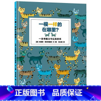 单本全册 [正版]一模一样的在哪里硬壳精装绘本图画书蒲蒲兰一 考眼力的游戏书形象可爱色彩丰富的动物认知3岁4岁5岁6岁亲