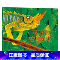 聪明的变色龙 [正版]聪明的变色龙爱心树硬壳精装绘本图画书凯特格林威大奖人生哲理认识热带动物提升阅读兴趣感受智慧的力量3