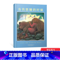 当我想睡的时候 [正版]当我想睡的时候硬壳精装图画书启发绘本2岁以上亲子共读童书