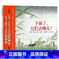 单本全册 [正版]下雨了它们去哪儿硬壳精装图画书蒲蒲兰绘本别开生面的田野观察蕴含了趣味十足的自然奥秘适合4岁5岁6岁7岁
