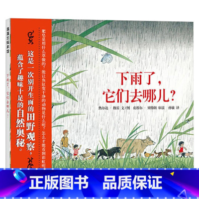 单本全册 [正版]下雨了它们去哪儿硬壳精装图画书蒲蒲兰绘本别开生面的田野观察蕴含了趣味十足的自然奥秘适合4岁5岁6岁7岁