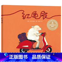单本全册 [正版]红毛衣硬壳精装绘本来自伦勃朗和梵高故乡的图画书童书